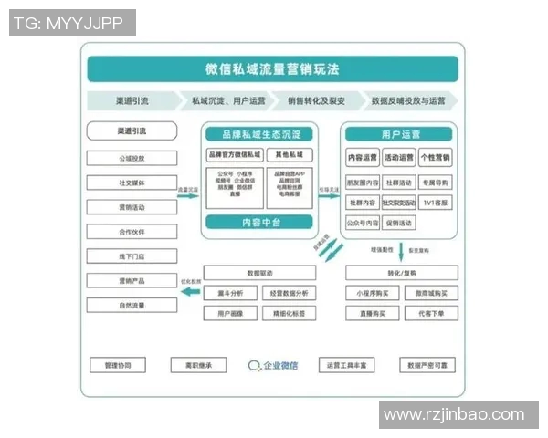 深入解析北京足球队战术布局与比赛策略的全景分析